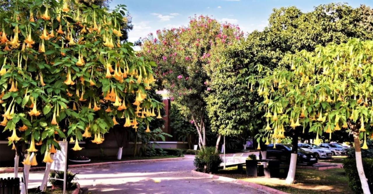 Cetinel Otel Adana Eksteriør bilde